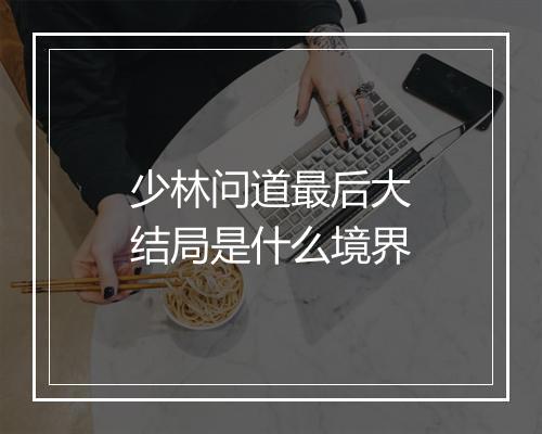 少林问道最后大结局是什么境界