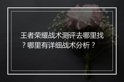 王者荣耀战术测评去哪里找？哪里有详细战术分析？