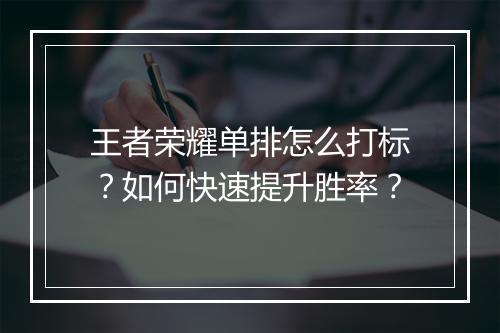 王者荣耀单排怎么打标？如何快速提升胜率？
