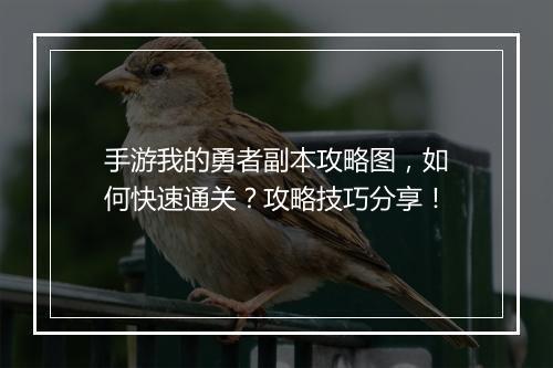 手游我的勇者副本攻略图，如何快速通关？攻略技巧分享！
