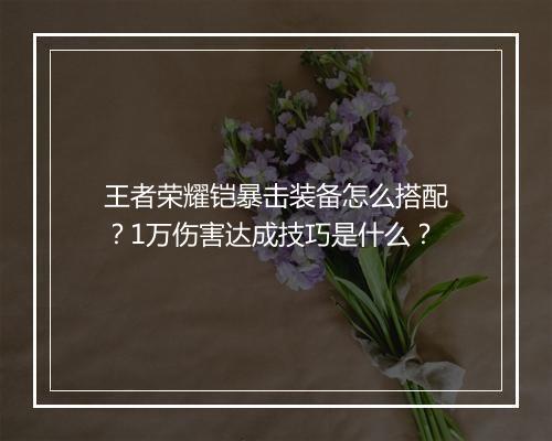 王者荣耀铠暴击装备怎么搭配？1万伤害达成技巧是什么？