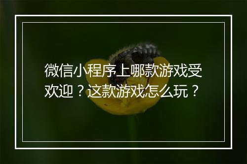 微信小程序上哪款游戏受欢迎？这款游戏怎么玩？