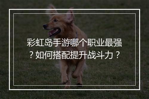 彩虹岛手游哪个职业最强？如何搭配提升战斗力？