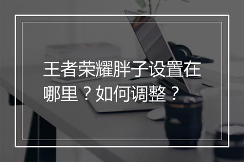 王者荣耀胖子设置在哪里?如何调整?