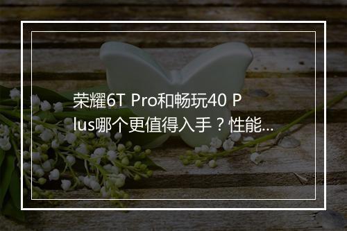 荣耀6T Pro和畅玩40 Plus哪个更值得入手？性能对比分析