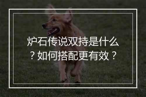 炉石传说双持是什么？如何搭配更有效？