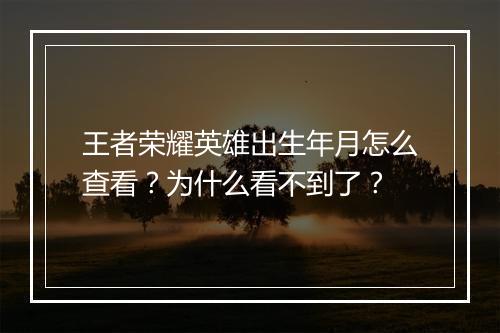 王者荣耀英雄出生年月怎么查看？为什么看不到了？