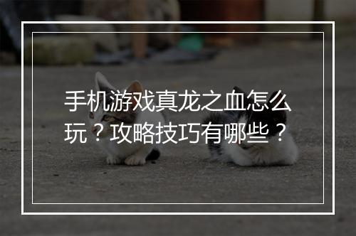 手机游戏真龙之血怎么玩？攻略技巧有哪些？