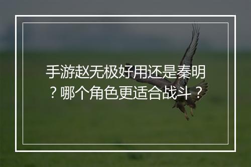 手游赵无极好用还是秦明？哪个角色更适合战斗？
