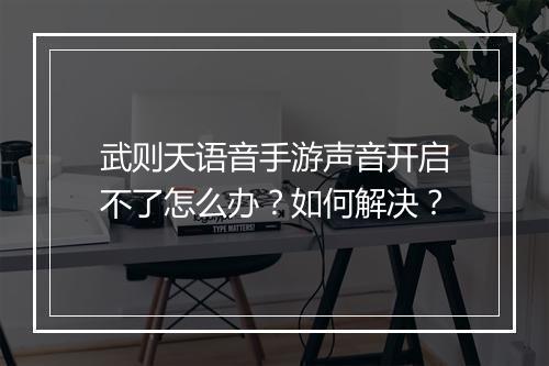 武则天语音手游声音开启不了怎么办？如何解决？