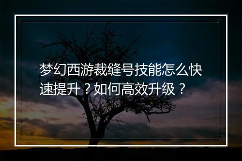 梦幻西游裁缝号技能怎么快速提升？如何高效升级？