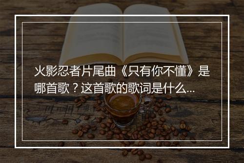 火影忍者片尾曲《只有你不懂》是哪首歌？这首歌的歌词是什么？