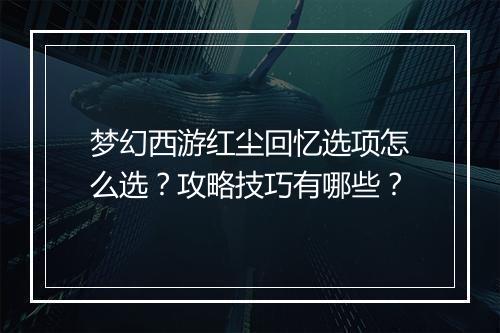 梦幻西游红尘回忆选项怎么选？攻略技巧有哪些？