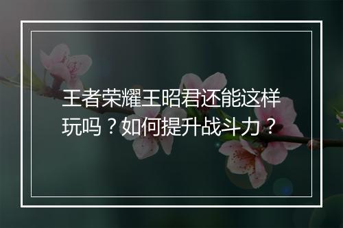 王者荣耀王昭君还能这样玩吗？如何提升战斗力？