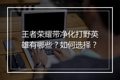 王者荣耀带净化打野英雄有哪些？如何选择？