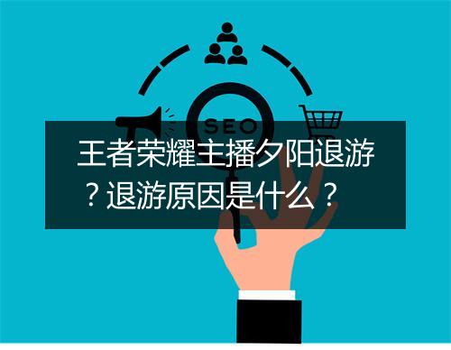 王者荣耀主播夕阳退游?退游原因是什么?