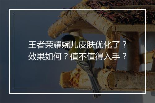 王者荣耀婉儿皮肤优化了？效果如何？值不值得入手？