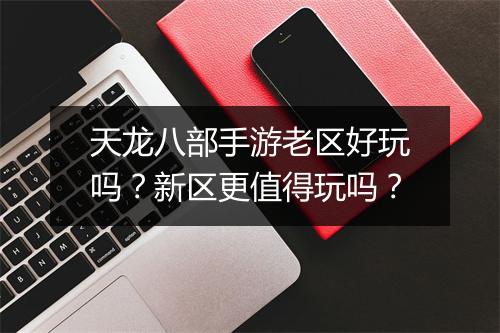 天龙八部手游老区好玩吗？新区更值得玩吗？