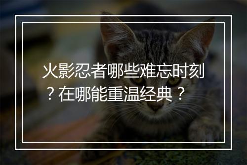 火影忍者哪些难忘时刻？在哪能重温经典？