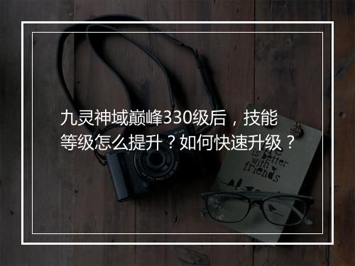 九灵神域巅峰330级后，技能等级怎么提升？如何快速升级？