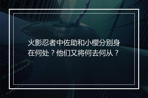 火影忍者中佐助和小樱分别身在何处？他们又将何去何从？