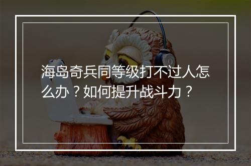 海岛奇兵同等级打不过人怎么办？如何提升战斗力？