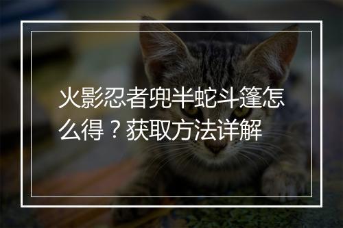 火影忍者兜半蛇斗篷怎么得？获取方法详解