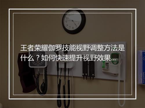 王者荣耀伽罗技能视野调整方法是什么？如何快速提升视野效果？