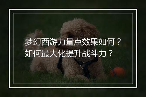 梦幻西游力量点效果如何?如何最大化提升战斗力?