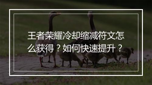 王者荣耀冷却缩减符文怎么获得？如何快速提升？