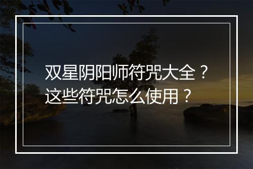 双星阴阳师符咒大全？这些符咒怎么使用？