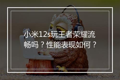 小米12s玩王者荣耀流畅吗？性能表现如何？