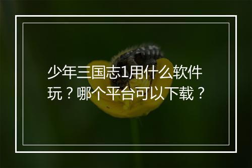 少年三国志1用什么软件玩？哪个平台可以下载？