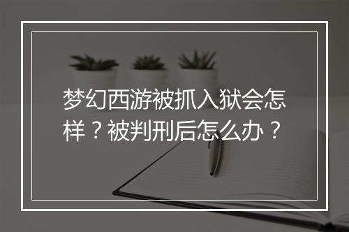 梦幻西游被抓入狱会怎样？被判刑后怎么办？
