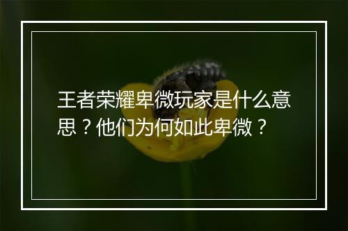 王者荣耀卑微玩家是什么意思？他们为何如此卑微？
