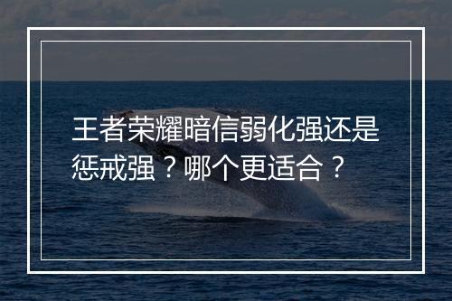王者荣耀暗信弱化强还是惩戒强？哪个更适合？