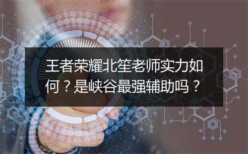 王者荣耀北笙老师实力如何？是峡谷最强辅助吗？
