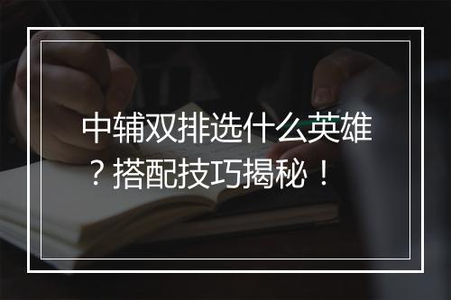 中辅双排选什么英雄？搭配技巧揭秘！