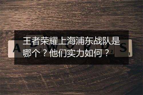 王者荣耀上海浦东战队是哪个？他们实力如何？
