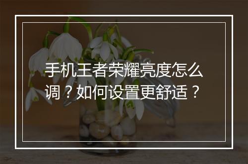 手机王者荣耀亮度怎么调?如何设置更舒适?