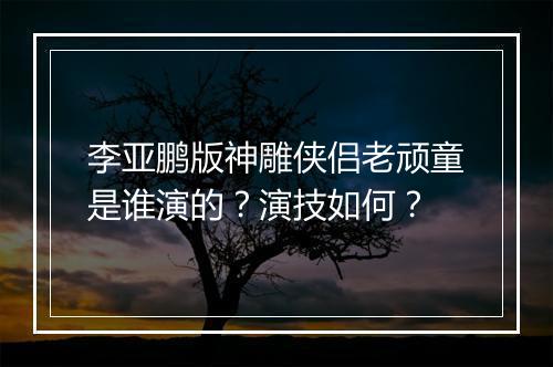 李亚鹏版神雕侠侣老顽童是谁演的？演技如何？