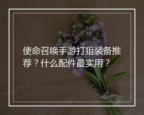 使命召唤手游打狙装备推荐？什么配件最实用？