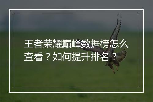 王者荣耀巅峰数据榜怎么查看？如何提升排名？