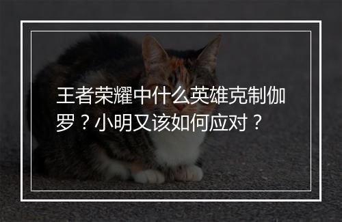 王者荣耀中什么英雄克制伽罗？小明又该如何应对？