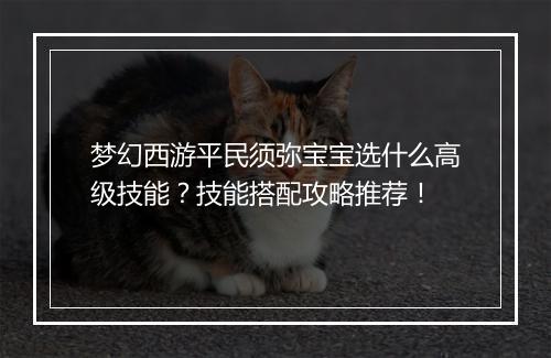 梦幻西游平民须弥宝宝选什么高级技能？技能搭配攻略推荐！