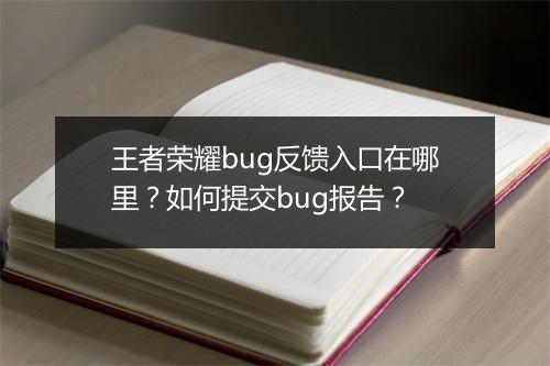 王者荣耀bug反馈入口在哪里？如何提交bug报告？