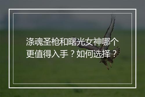 涤魂圣枪和曙光女神哪个更值得入手？如何选择？