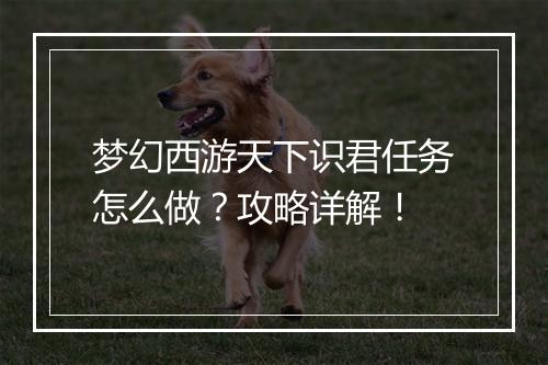梦幻西游天下识君任务怎么做？攻略详解！