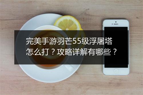 完美手游羽芒55级浮屠塔怎么打？攻略详解有哪些？