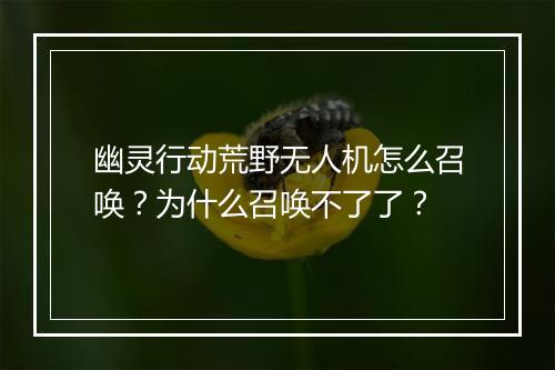 幽灵行动荒野无人机怎么召唤？为什么召唤不了了？